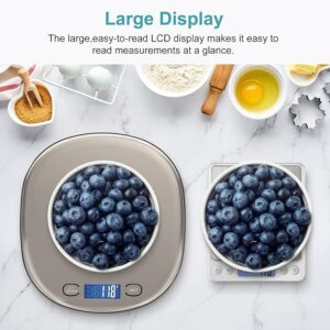 5 Kitchen Appliances Under $50