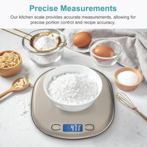5 Kitchen Appliances Under $50